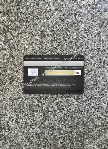 Chad Commercial bank Tchad visa card photolook back